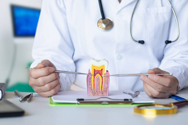 Best Emergency Dental Care for Abscessed Tooth in St Petersburg, FL